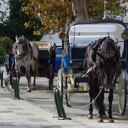 Albaida 2 5j Nerja